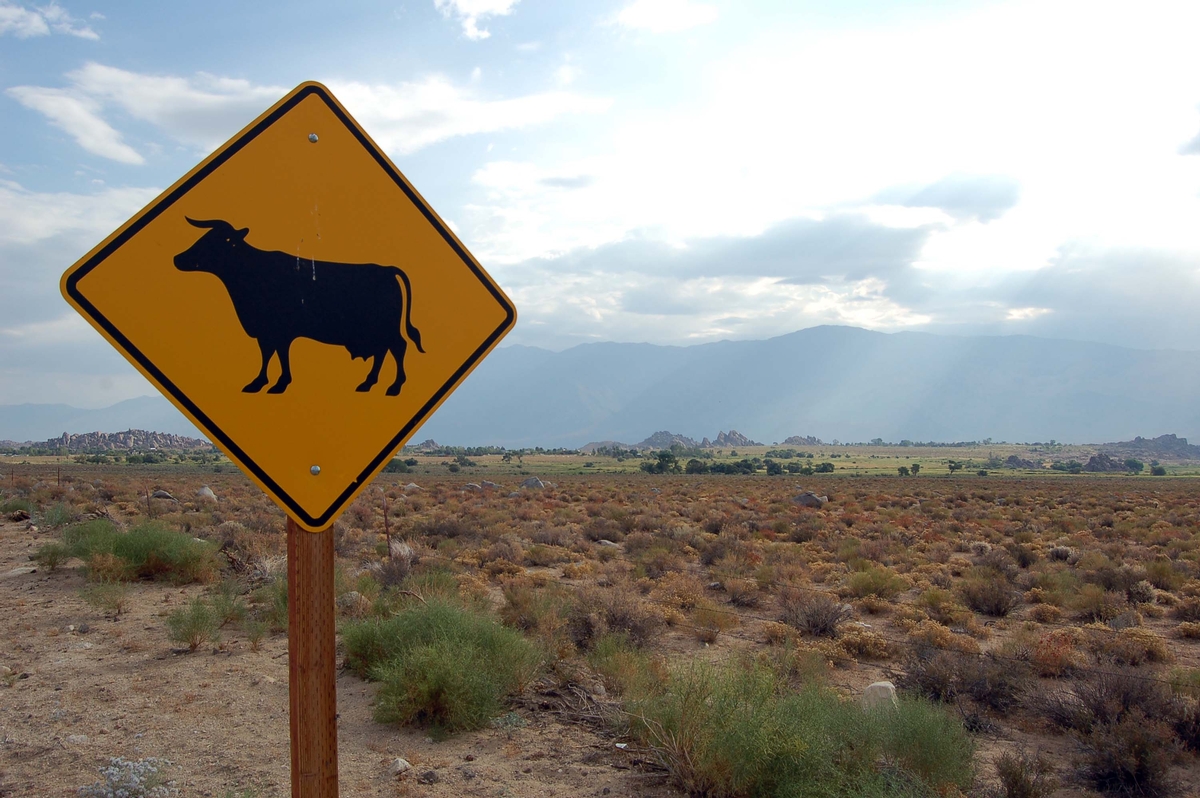 Ranches Ranches